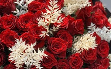 Những món quà ý nghĩa gửi tặng thầy cô nhân ngày 20/11