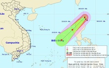 Bão Kalmaegi hoạt động phức tạp khi vào Biển Đông