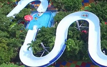 Công viên nước Đầm Sen (DSN) sẽ tạm ứng cổ tức đợt 1/2019 bằng tiền tỷ lệ 36%