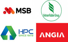 Hàng tỷ cổ phiếu 'xếp hàng' chờ lên HoSE