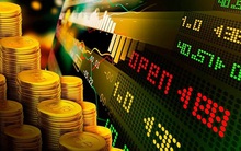 Nhựa Hà Nội (NHH) sẽ giao dịch phiên đầu trên HoSE vào 12/12 tới đây