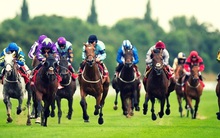 Đẩy mạnh kinh doanh bất động sản, cổ phiếu Thiên Nam (TNA) tăng “phi mã” trong năm 2019