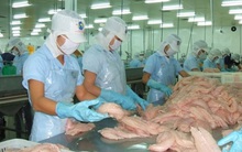 Bất chấp giá tôm và cá tra thấp, thủy sản hướng đến mục tiêu 9 tỉ USD