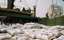 Nhờ khoản lợi nhuận khác, Vinafood 2 có lãi quý 3 gần 14 tỷ đồng