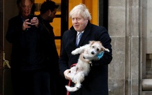 Người dân Anh mở đường cho một Brexit "bằng mọi giá"