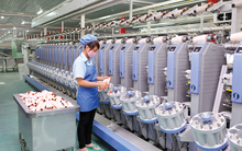 Dệt may Thành Công (TCM) bị truy thu và phạt gần 2,3 tỷ đồng tiền thuế