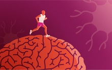 5 mẹo nhỏ giúp bạn “sạc pin” cho não bộ, kích thích tối đa hiệu suất công việc trong ngày: Làm đủ thì kết quả đáng kinh ngạc!