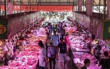 Chuyện lạ: Ngân hàng thu hút người gửi tiền tiết kiệm bằng cách...thưởng thịt lợn