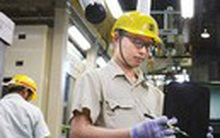 Lao động Việt Nam xuất khẩu nước ngoài: Nhật Bản đứng đầu thị trường