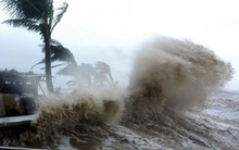 Bão KAMMURI giật cấp 14 đang hướng vào Biển Đông