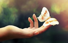 Phong thủy lớn nhất đời người đều tích tụ trong 6 đức tích quý giá này: Thuận lợi hay trắc trở, vận mệnh đều do một tay ta tự quyết!