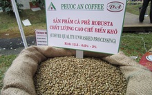 Trước thềm lên sàn, công ty con của Nutifood liên tục thua lỗ, năm 2019 dự trù tiếp tục lỗ 27 tỷ đồng