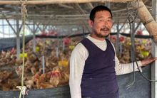 Lợn chết chuyển sang nuôi gà, nông dân Trung Quốc vẫn 'méo mặt' vì thua lỗ