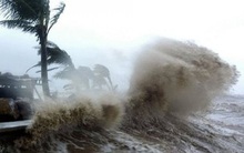 Bão số 8 cách đảo song Tử Tây 480 km