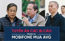 Tuyên án vụ MobiFone mua AVG: Bị cáo Nguyễn Bắc Son bị tuyên án Chung thân, Trương Minh Tuấn 14 năm tù