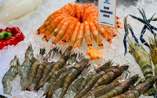 Xuất khẩu tôm phục hồi ở nhiều thị trường