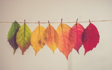 12 tháng và 12 định nghĩa đã thay đổi cuộc sống của tôi: Cách làm đúng tạo ra giá trị bất ngờ