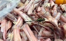 Chặn đứng 2 container chứa hàng tấn thực phẩm đông lạnh nhập lậu tại siêu thị MM Mega Market