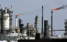 PGD điều chỉnh giảm kế hoạch doanh thu năm 2019 xuống còn hơn 7.800 tỷ đồng vào phú chót