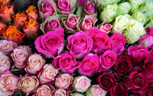 Thị trường ngày 14/2: Giá dầu và vàng cùng tăng, hoa tiêu thụ mạnh