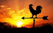 Nếu có thói quen dậy sớm, xin chúc mừng, phần thưởng dành cho bạn là điều bất kỳ ai cũng phải ước ao!