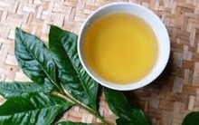 Toàn cảnh thị trường chè thế giới 2018 và triển vọng 10 năm tới