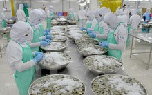 Ngành thủy sản hướng đến mục tiêu 9 tỷ USD, nỗ lực gỡ thẻ vàng trong năm 2019