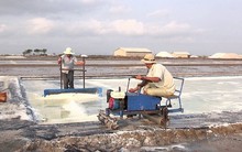 Mở rộng diện tích sản xuất muối quy mô công nghiệp trong 2019
