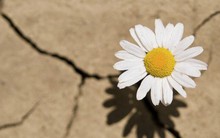 Gieo suy nghĩ gặt hành động, gieo hành động gặt thói quen, gieo thói quen gặt số phận: Đây là hai cuốn sách mà diễn giả hàng đầu thế giới khuyên bạn nên đọc