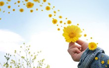 Luôn cảm thấy người khác thành công hơn, hạnh phúc hơn do bạn bị 5 “bẫy” tâm lý này bủa vây: Buông bỏ sớm để năm mới “nở hoa”, sự nghiệp thăng tiến