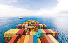 Vinalines “vẽ” bức tranh sau cổ phần hóa