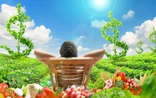 Sự phát triển của loại hình nghỉ dưỡng ven đô: Từ thế giới đến Việt Nam