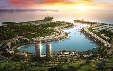 P.Land hợp tác với Chủ đầu tư phân phối dự án Tuần Châu Marina