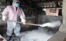 Hưng Yên lập 170 chốt kiểm dịch để ngăn dịch tả lợn châu Phi