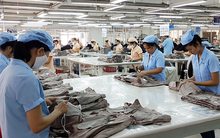 May Sông Hồng dự kiến chia cổ tức tỷ lệ 40%, mục tiêu 475 tỷ đồng LNTT năm 2019