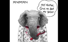 Thị trường ngà voi phi pháp ở Việt Nam lớn tới mức nào?