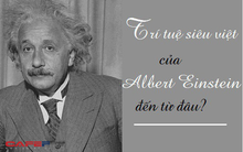 3 tuổi chưa biết nói nhưng nhờ được nuôi dạy bằng "công thức" này, Albert Einstein đã trở thành thiên tài xuất chúng: Cha mẹ nào cũng có thể áp dụng với con