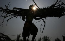 [TÔI MẤT TIỀN] LSS-Cổ phiếu "đường đắng" của tôi