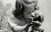 Những bức ảnh hạnh phúc nhất thế giới khiến ai cũng phải “vui lây” khi nhìn thấy