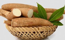 Giá sắn xuất khẩu tăng mạnh