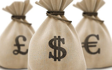 Vimeco (VMC) chốt danh sách cổ đông trả cổ tức bằng tiền tỷ lệ 30%