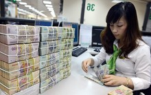 NHNN bơm ròng gần 23.600 tỷ đồng ra thị trường trong tuần qua