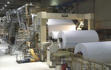 Làm gì để thúc đẩy ngành công nghiệp giấy phát triển?