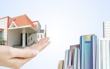 BĐS Phát Đạt (PDR) thông qua phương án phát hành hơn 61 triệu cổ phiếu trả cổ tức