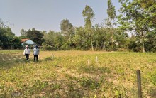 "Cò" đất tung tin đồn Đà Nẵng thành lập quận mới để thổi giá đất