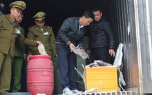 Tiêu hủy trên 11 tấn nội tạng lợn bẩn