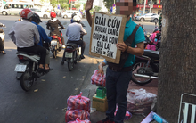 Chiến dịch giải cứu khoai lang lại xuất hiện ở TP HCM?