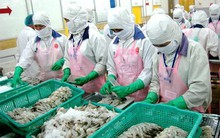 Xuất khẩu tôm sang Canada: Giàu tiềm năng, nhiều cơ hội