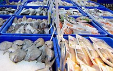 Xuất khẩu thủy sản sang các nước CPTPP tăng mạnh trong tháng 3/2019