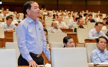 Đại biểu Quốc hội Lê Thanh Vân nói về vụ việc Jetstar thua lỗ, lãnh đạo vẫn được thăng chức